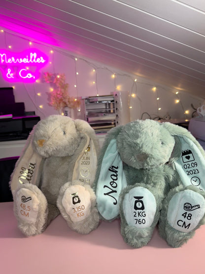 Peluche Lapin Personnalisée