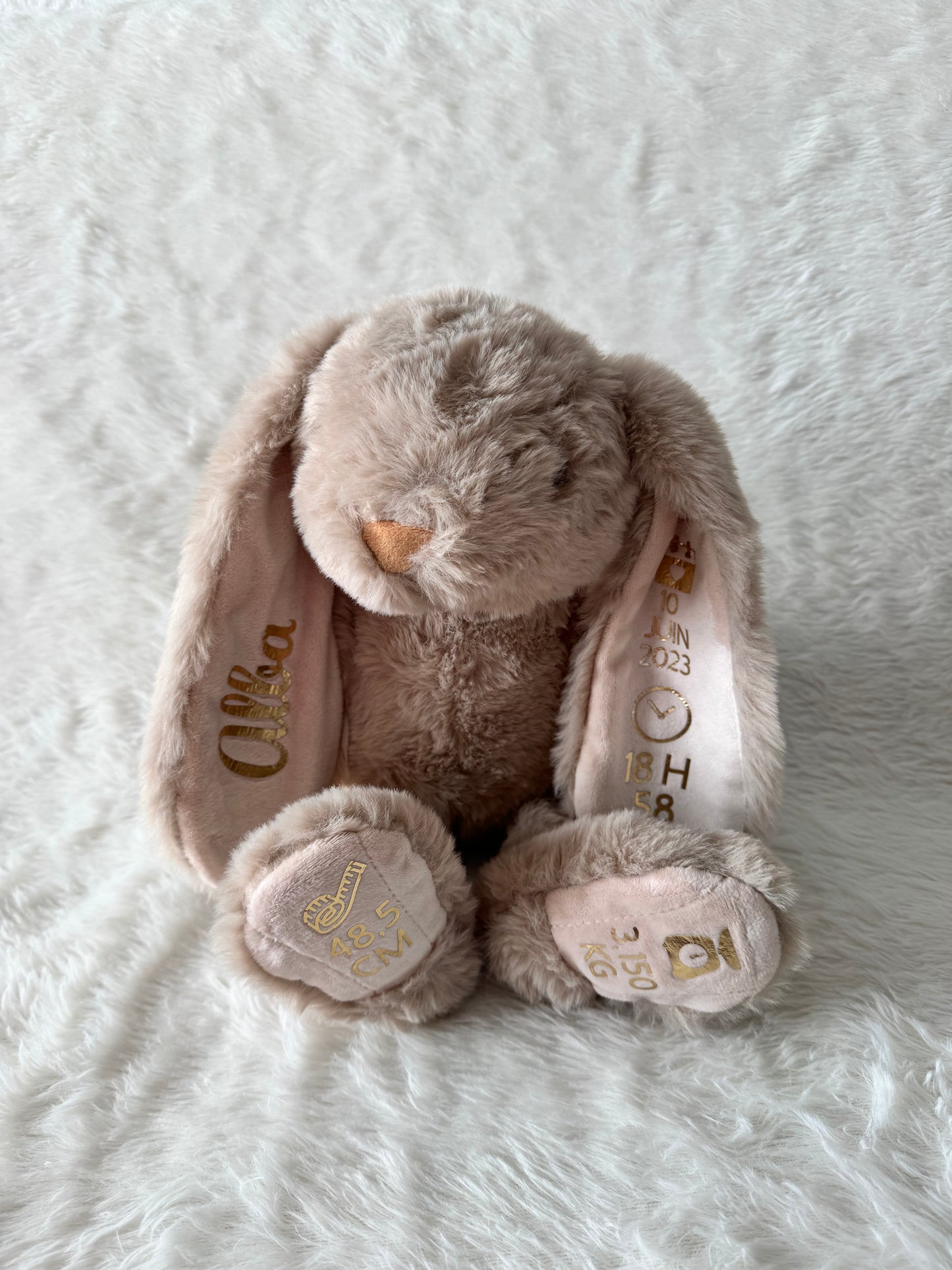 Peluche Lapin Personnalisée