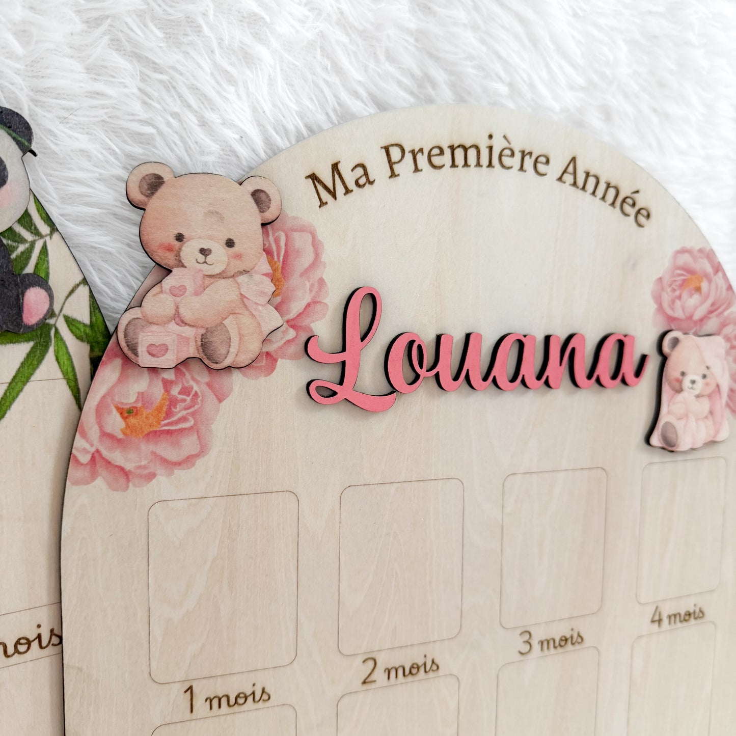Panneau "Ma Première Année"